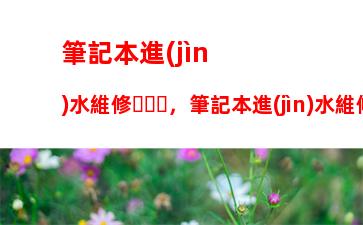 筆記本進(jìn)水維修，筆記本進(jìn)水維修費(fèi)